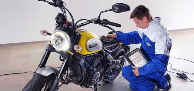 WhatsApp Image 2025-11-08 at 19.16.41